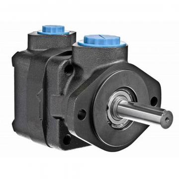 Vickers vane pump motor design 2520V14A8-1CC    