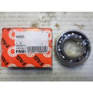 FAG 6005 1K 25030414 BEARING