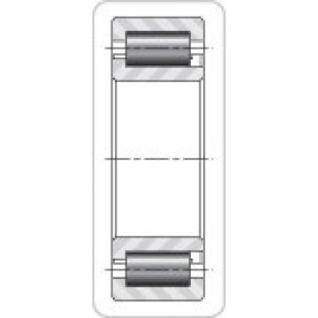 Timken THRUST BEARINGS NJ2319EMA    