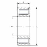 Cylindrical Roller Bearings NCF1856 V ISO