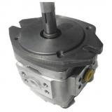 NACHI PVS Series Piston Pump PVD-2B-40P-6AG3-5220A    