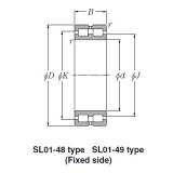 SL Type Cylindrical Roller Bearings NTN SL01-4876