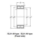 SL Type Cylindrical Roller Bearings NTN SL02-4922