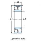 SPHERICAL ROLLER BEARINGS ELEMENTS 1320SL1861E4